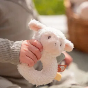 Little Dutch I Rammelaar I Schaap