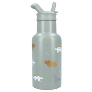 Kidzroom Drinkfles Small Talk – Groene Dino Drinkfles voor Kinderen (350 ml)