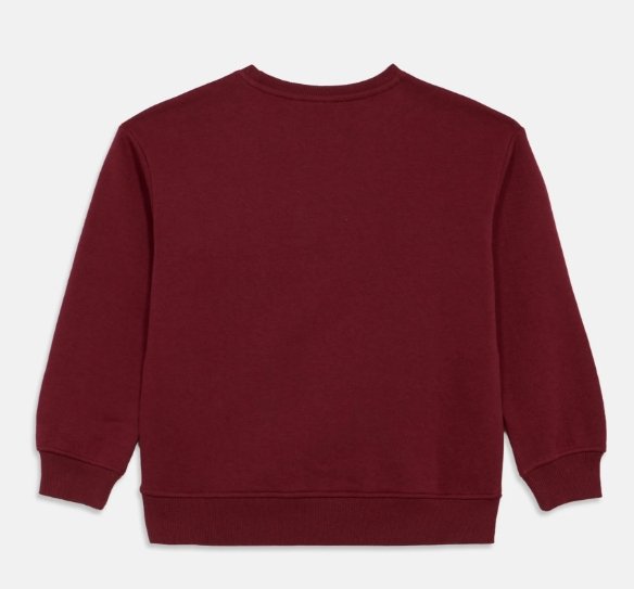 ONLY GIRLS | KOGLINDA | LIFE BEAR | Sweater | cabernet - Afbeelding 2