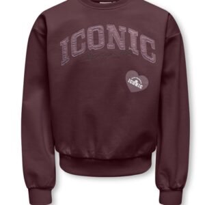 Sweater | iconic | Only | bruin